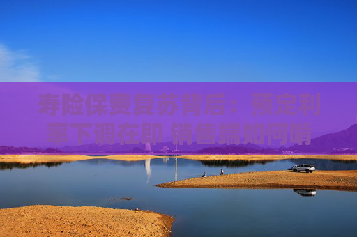 壽險保費復(fù)蘇背后：預(yù)定利率下調(diào)在即 銷售端如何啃下分紅險“硬骨頭”