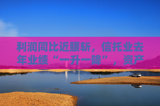 利潤同比近腰斬，信托業(yè)去年業(yè)績“一升一降”，資產(chǎn)規(guī)模創(chuàng)新高至29.56萬億元