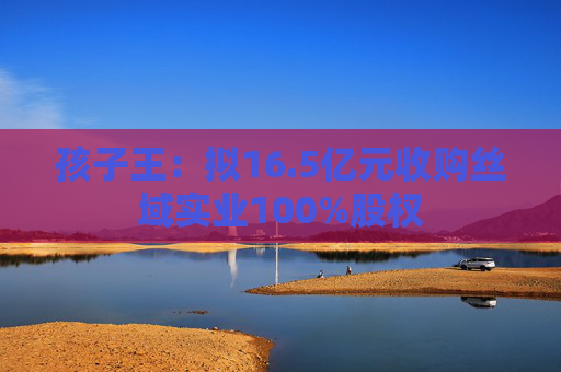 孩子王：擬16.5億元收購(gòu)絲域?qū)崢I(yè)100%股權(quán)