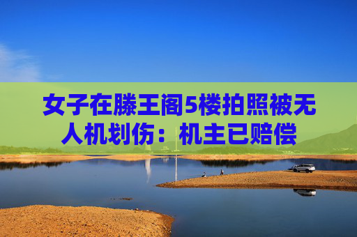 女子在滕王閣5樓拍照被無人機(jī)劃傷：機(jī)主已賠償