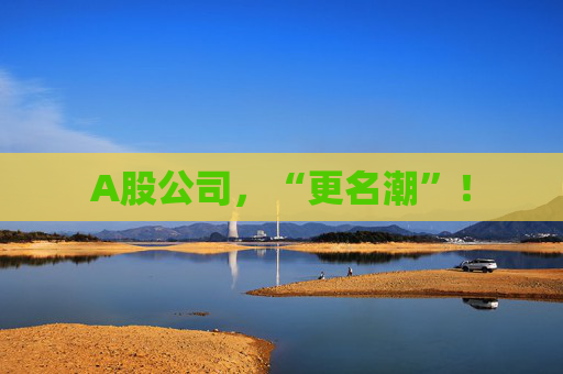 A股公司，“更名潮”！