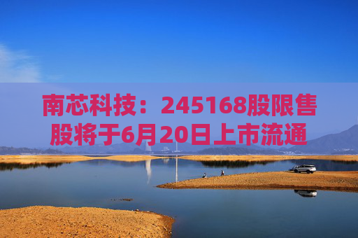 南芯科技：245168股限售股將于6月20日上市流通
