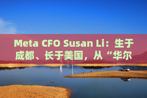 Meta CFO Susan Li：生于成都、長于美國，從“華爾街神童”到“大廠CFO”