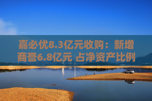 嘉必優(yōu)8.3億元收購：新增商譽6.8億元 占凈資產(chǎn)比例高達(dá)30%