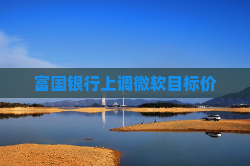 富國銀行上調(diào)微軟目標(biāo)價