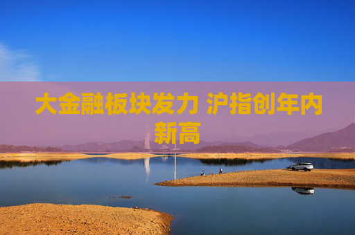 大金融板塊發(fā)力 滬指創(chuàng)年內(nèi)新高