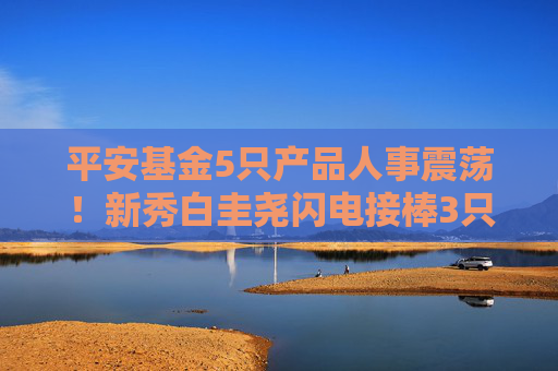 平安基金5只產(chǎn)品人事震蕩！新秀白圭堯閃電接棒3只基金，搭檔量化老將錢晶，任職回報(bào)68%