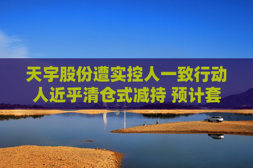 天宇股份遭實(shí)控人一致行動(dòng)人近乎清倉(cāng)式減持 預(yù)計(jì)套現(xiàn)金額超2億元
