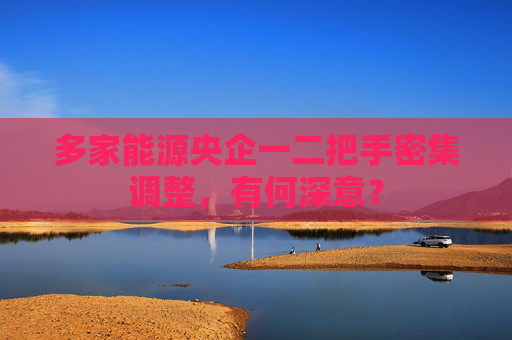 多家能源央企一二把手密集調(diào)整，有何深意？