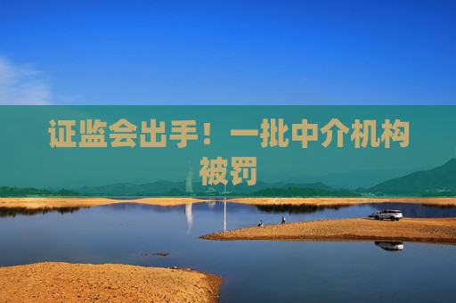 證監(jiān)會出手！一批中介機(jī)構(gòu)被罰