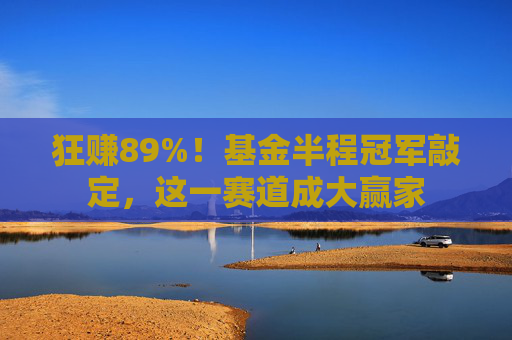 狂賺89%！基金半程冠軍敲定，這一賽道成大贏家