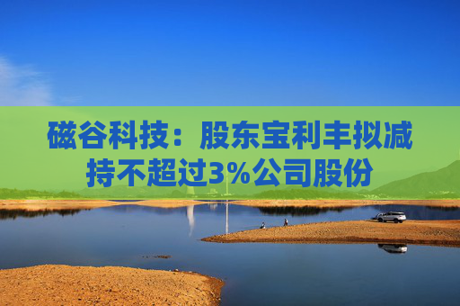 磁谷科技：股東寶利豐擬減持不超過(guò)3%公司股份