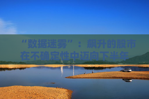 “數(shù)據(jù)迷霧”：飆升的股市在不確定性中邁向下半年