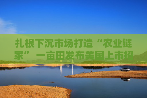 扎根下沉市場打造“農(nóng)業(yè)鏈家” 一畝田發(fā)布美國上市招股書