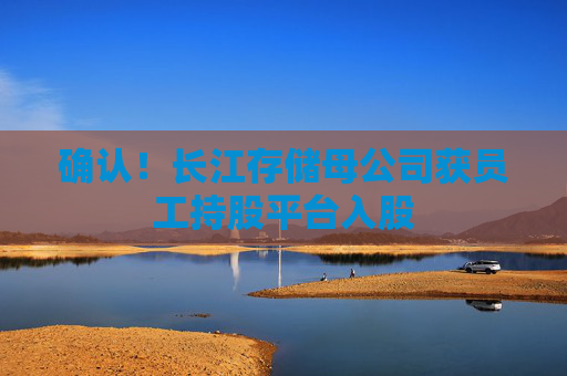 確認(rèn)！長江存儲母公司獲員工持股平臺入股