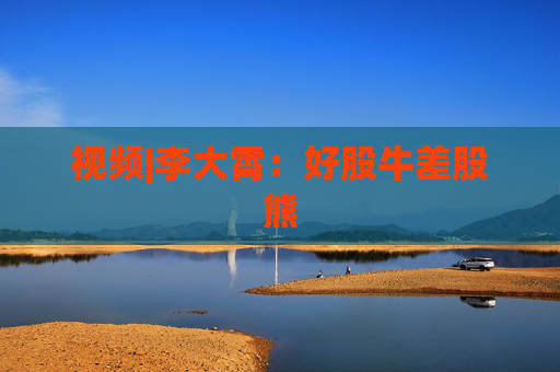 視頻|李大霄：好股牛差股熊