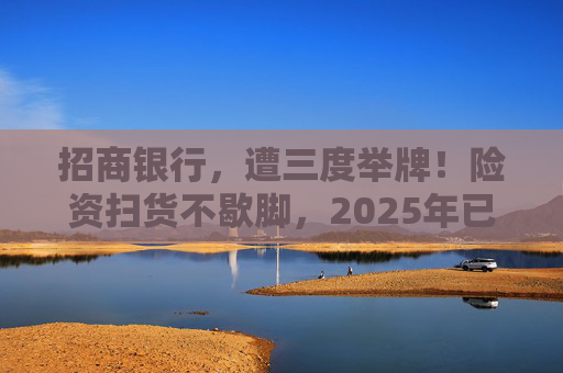 招商銀行，遭三度舉牌！險(xiǎn)資掃貨不歇腳，2025年已有13家上市公司被險(xiǎn)資舉牌