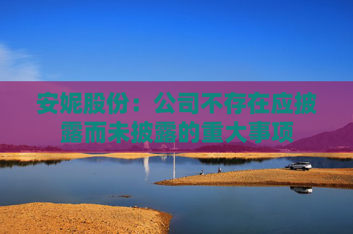 安妮股份：公司不存在應(yīng)披露而未披露的重大事項(xiàng)