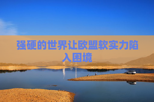 強硬的世界讓歐盟軟實力陷入困境