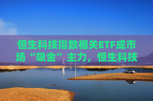 恒生科技指數(shù)相關(guān)ETF成市場“吸金”主力，恒生科技ETF（513130）份額突破380億份，再創(chuàng)歷史新高