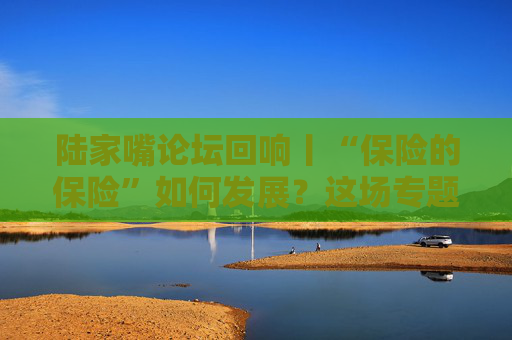 陸家嘴論壇回響丨“保險的保險”如何發(fā)展？這場專題會說透了！