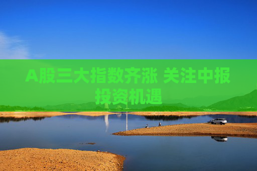 A股三大指數(shù)齊漲 關(guān)注中報(bào)投資機(jī)遇  第1張