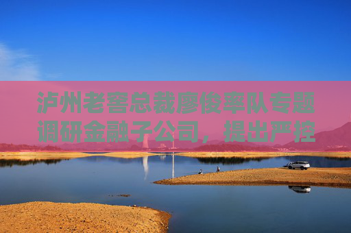 瀘州老窖總裁廖俊率隊專題調(diào)研金融子公司，提出嚴(yán)控流動性風(fēng)險