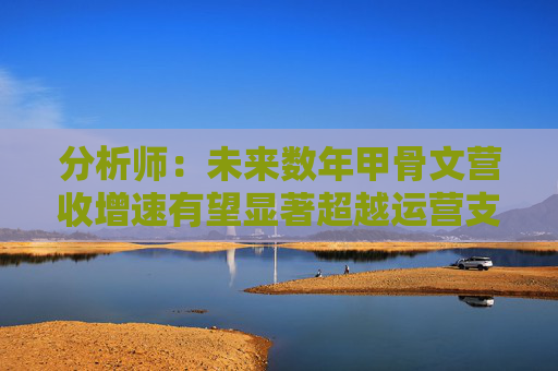 分析師：未來數(shù)年甲骨文營收增速有望顯著超越運(yùn)營支出