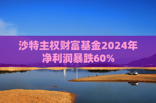 沙特主權(quán)財富基金2024年凈利潤暴跌60%