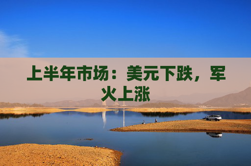 上半年市場：美元下跌，軍火上漲