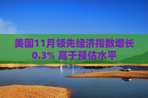 美國11月領(lǐng)先經(jīng)濟(jì)指數(shù)增長0.3% 高于預(yù)估水平