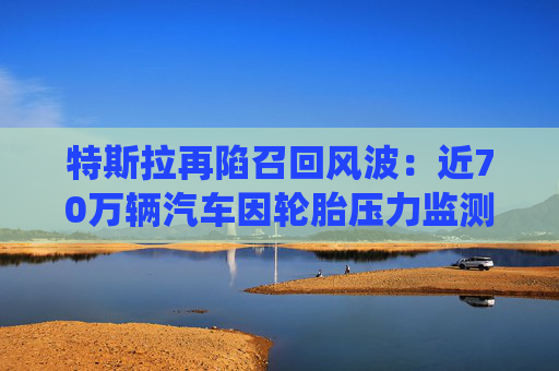 特斯拉再陷召回風(fēng)波：近70萬輛汽車因輪胎壓力監(jiān)測系統(tǒng)問題被召回