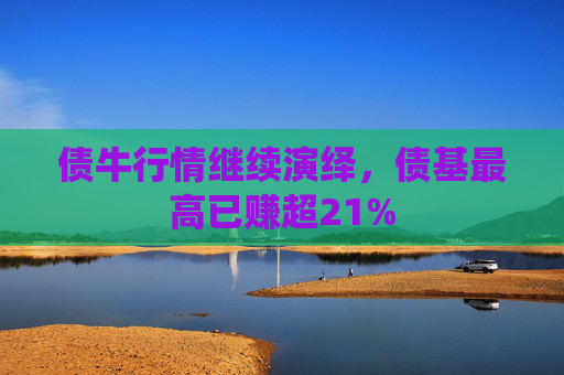 債牛行情繼續(xù)演繹，債基最高已賺超21%