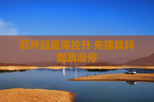 芯片股震蕩拉升 先鋒精科觸及漲停
