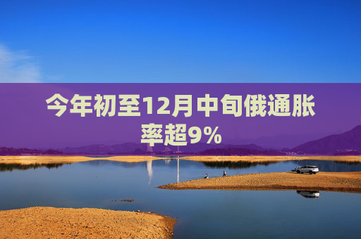 今年初至12月中旬俄通脹率超9%