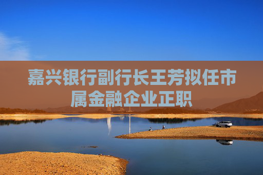 嘉興銀行副行長(zhǎng)王芳擬任市屬金融企業(yè)正職