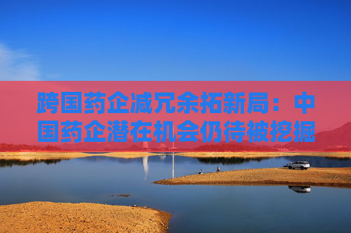跨國藥企減冗余拓新局：中國藥企潛在機(jī)會仍待被挖掘