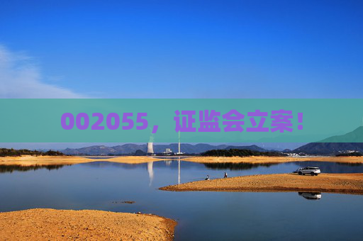 002055，證監(jiān)會立案！