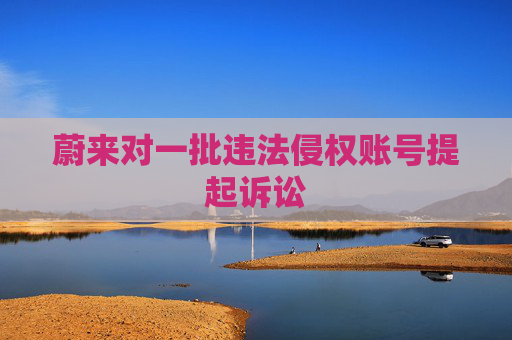蔚來對(duì)一批違法侵權(quán)賬號(hào)提起訴訟