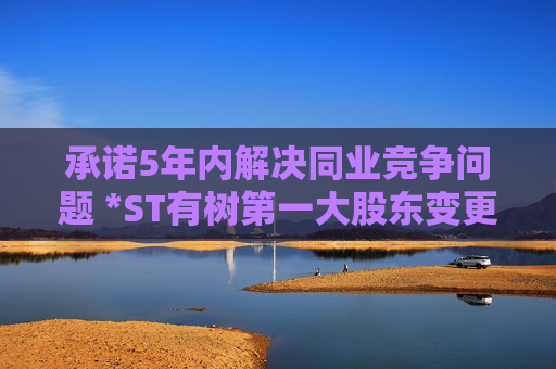 承諾5年內(nèi)解決同業(yè)競爭問題 *ST有樹第一大股東變更為王維