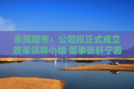 永輝超市：公司擬正式成立改革領(lǐng)導(dǎo)小組 董事張軒寧因CEO安排表示反對