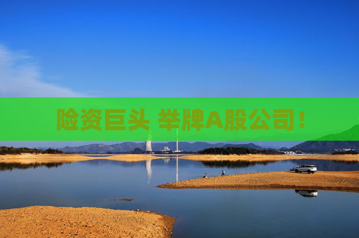 險資巨頭 舉牌A股公司！
