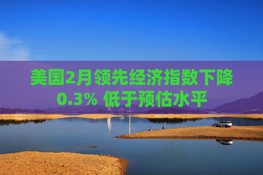 美國(guó)2月領(lǐng)先經(jīng)濟(jì)指數(shù)下降0.3% 低于預(yù)估水平