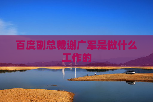 百度副總裁謝廣軍是做什么工作的