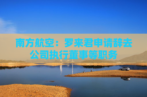 南方航空：羅來君申請辭去公司執(zhí)行董事等職務(wù)