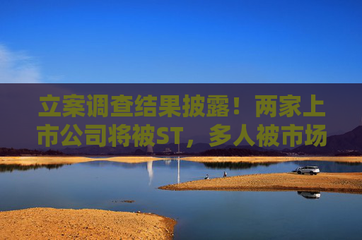 立案調查結果披露！兩家上市公司將被ST，多人被市場禁入！  第1張