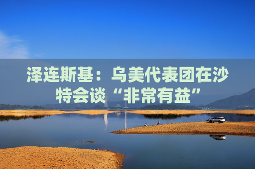 澤連斯基：烏美代表團(tuán)在沙特會(huì)談“非常有益”