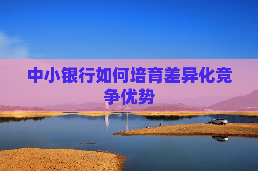 中小銀行如何培育差異化競(jìng)爭(zhēng)優(yōu)勢(shì)  第1張