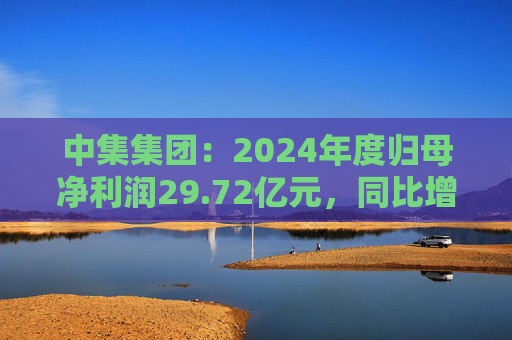 中集集團(tuán)：2024年度歸母凈利潤29.72億元，同比增長605.60%