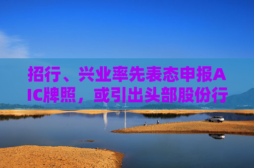招行、興業(yè)率先表態(tài)申報AIC牌照，或引出頭部股份行雁行效應(yīng)